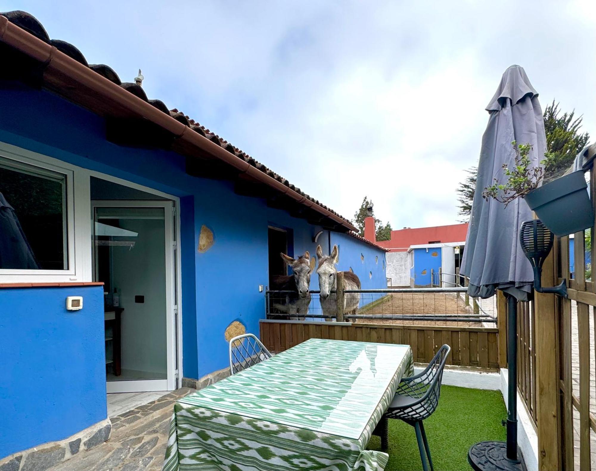 Ferienhaus Casa Antigua *